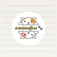 ANF! - OPEN DM(@animalfess2) 's Twitter Profile Photo