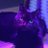 kingdom_mimi's avatar
