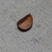 t4Xro4yp9Vobi16's profile picture. 三十路にして惑いまくる。