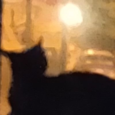 DenisWGoodwin's profile picture. Political junkie and regular writer of letters to the Sydney Morning Herald