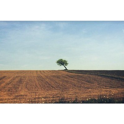 yasupon_46's profile picture. 00(99) ♂︎ 櫻坂/🌵,🍤,🧣,(+健康鯖)/お笑いライブ/舞台,ミュージカル/謎解き