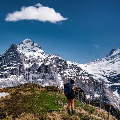 w_schnapp's profile picture. Neuroscience PhD candidate at @uarizona | Studying role of central amygdala in development of anorexia nervosa 🧠