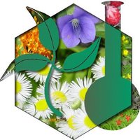Phytochemical Society of North America (@psnaofficial) 's Twitter Profile