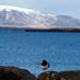 Islandsbloggen (@islandsbloggen) Twitter profile photo Islandsbloggen (@islandsbloggen) Twitter profile photo