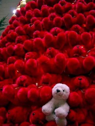 olshoesshop's profile picture. Get our Best offer and price!! Don't miss it :)