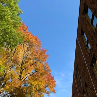 HarryBoersen's profile picture. 