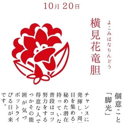 ミステリー、SF、歴史、時代小説、ファンタジー系、恋愛物など雑食性ですが、現在は眼の調子が悪く、あまり読めていません。
今後とも、宜しくお願いします。