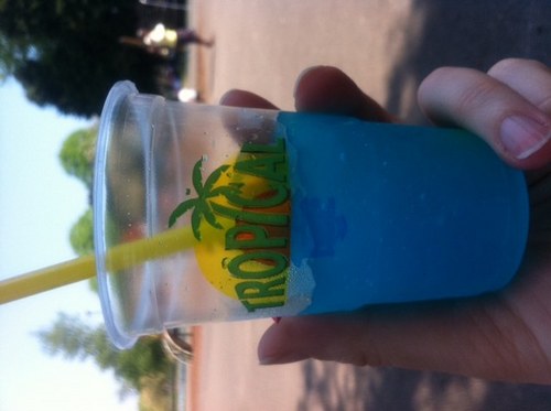 loubiehol's profile picture. 