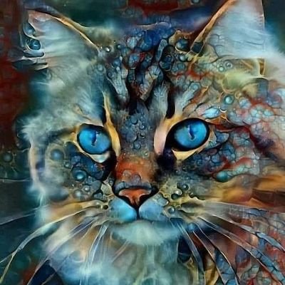 Comint41's profile picture. 