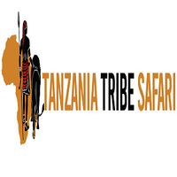 Tanzaniatribesafari(@Tanzaniatribes1) 's Twitter Profile Photo