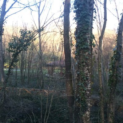 FreshDreams01's profile picture. 