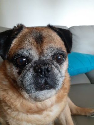 Piccola_buddy's profile picture. No one held back. No one left behind.