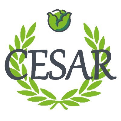 César est un prototype d'outil permettant de récolter de la salade en plein champ de façon autonome.
En association avec @chaireamnt, @INSTAR_Robotics.