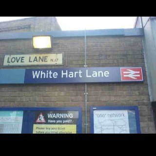 mstuarty's profile picture. Michael from belfast! lifelong spurs supporter - would love to get over more often! easy goin, enjoy a laugh!!