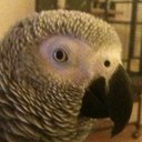 Anthony Bracken - @anthbrack - Twitter