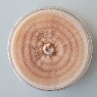 BioCropIRL (@biocropirl) 's Twitter Profile