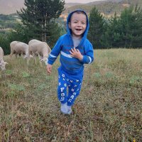 Emre oza (@ozaemree) 's Twitter Profile