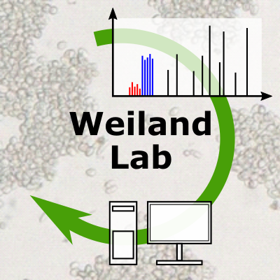 Weiland_Lab