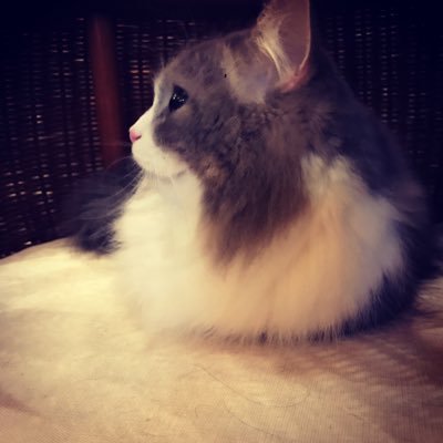 aaa09a90's profile picture. 「転生したらかりんとうでした。」第二期。かりんとうの中のひと。ぼっち系ポーカープレーヤー。最近ポーカー熱復活中。ポーカー戦歴JOPT 19 Short Deck🥇 JOPT18 MAIN EVENT 4位 。メイン・クーン優勝ww