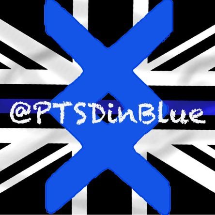 Adjusting to living with PTSD on the sharp end of policing. Learning to deal with Triggers and day to day. Views my own, not an expert!
MHFA & Oskar Kilo Peer