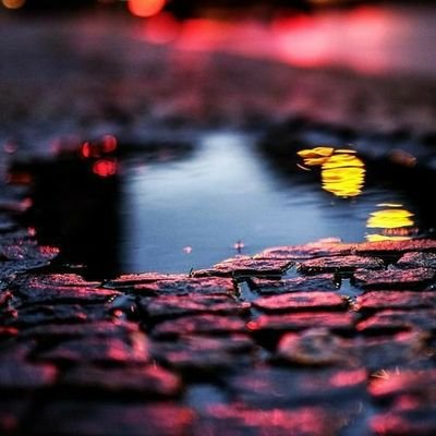 MonstaX02110211's profile picture. 