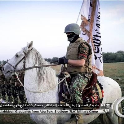 LSVbYd7ibKji1gI's profile picture. یاشریعت یاشهادت