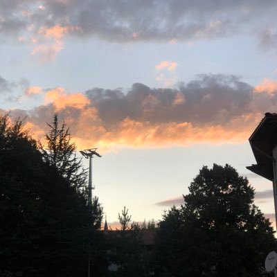 matematikimo's profile picture. 