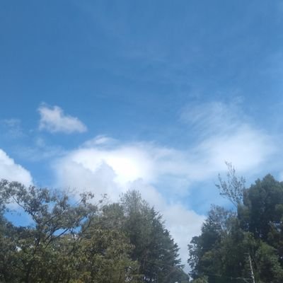 Katbt23's profile picture. 