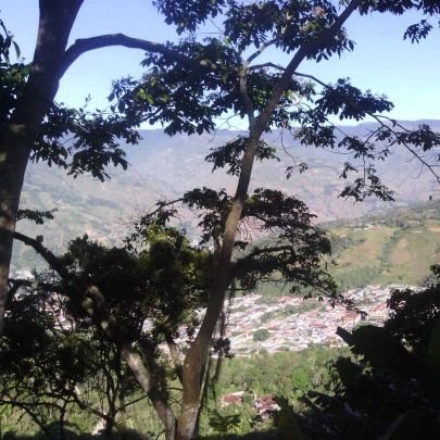 sruiz_12's profile picture. Audentes Fortuna Juvat