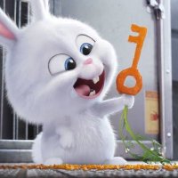 po🐰リトリン有 (@usachan_baby_) 's Twitter Profile Photo po🐰リトリン有 (@usachan_baby_) 's Twitter Profile Photo