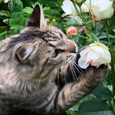 namae_arimasenk's profile picture. 破壊と再生！それが人生！