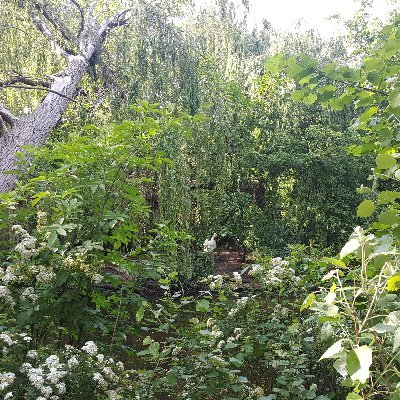 ZuziSK7rule's profile picture. Be yourself, do not change for no-one.