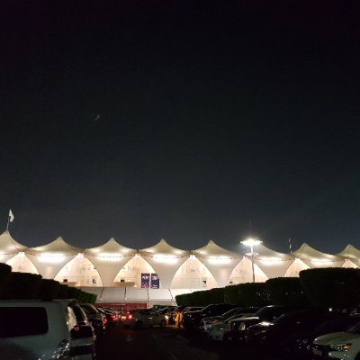 Sly17459089's profile picture. 