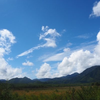 URybJr40pbid2Pq's profile picture. よろしくお願いします！