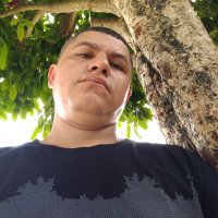 Naldo System (@naldosystem) 's Twitter Profile