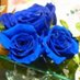 @grapefruit11114