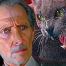 cushing_s's profile picture. Retro/vintage British horror, Peter Cushing, Christopher Lee, Hammer, Amicus, Tigon, Hitchcock, US, Giallo, books  #scifi #horrorfam, 
see also: @retro_things