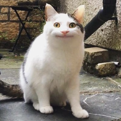 PetrBena's profile picture. bsky: @benapetr.bsky.social
mstd: @petrbena@mstdn.social