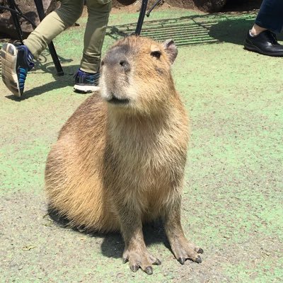 ゆうさんのプロフィール画像
