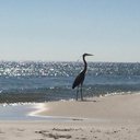 Deborah Hood: RE/MAX Orange Beach - @Hooddeborah - Twitter