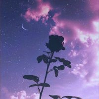 snacky (@_snacky_) 's Twitter Profile