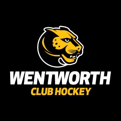 Official Twitter account of the @wentworthinstitute Men's Club Ice Hockey Team | @achamensd3 | @NECHAHockey Colonial North | Est. 2017 | witclubhockey@wit.edu