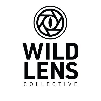 WildLensInc Profile Picture