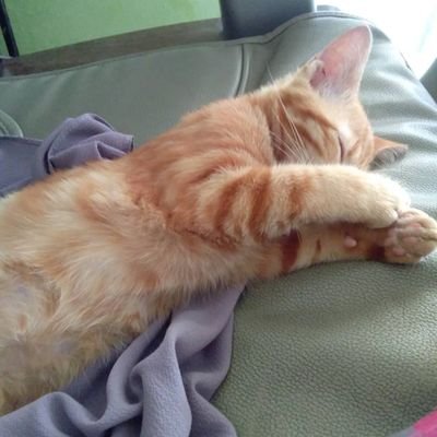 IhsanSopian's profile picture. Regular guy