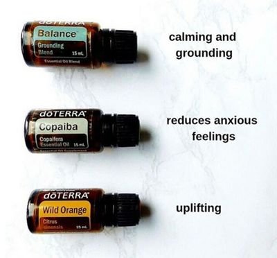 ●DoTerra E.O. WellnessAdvocate
●Poshmark Closet Seller (gently used fashion)