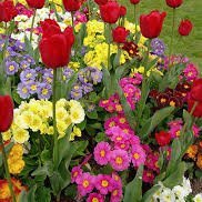 derik64408562's profile picture. New here.