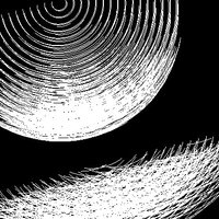 ddublin.bsky.social (@dddoescode) 's Twitter Profile