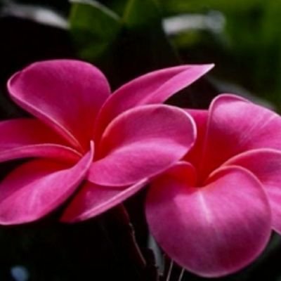 RosarioMrquez17's profile picture. 