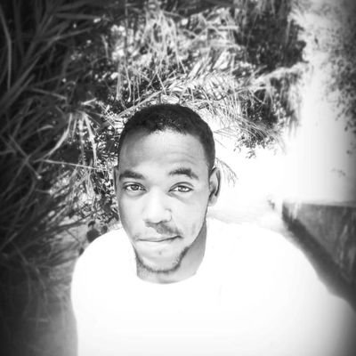 mogtabakheder's profile picture. 