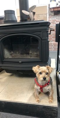 HEARTH & OUTDOOR LIVING PRODUCTS 
Fireplace, Stove and Gas Log Installation
Gas, Pellet, and Wood Appliance 
Chimney Cleaning
